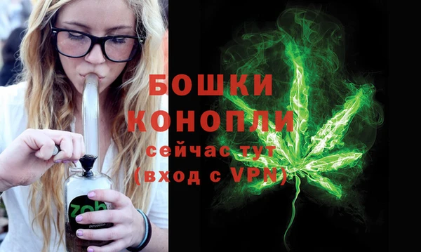 ECSTASY Вяземский