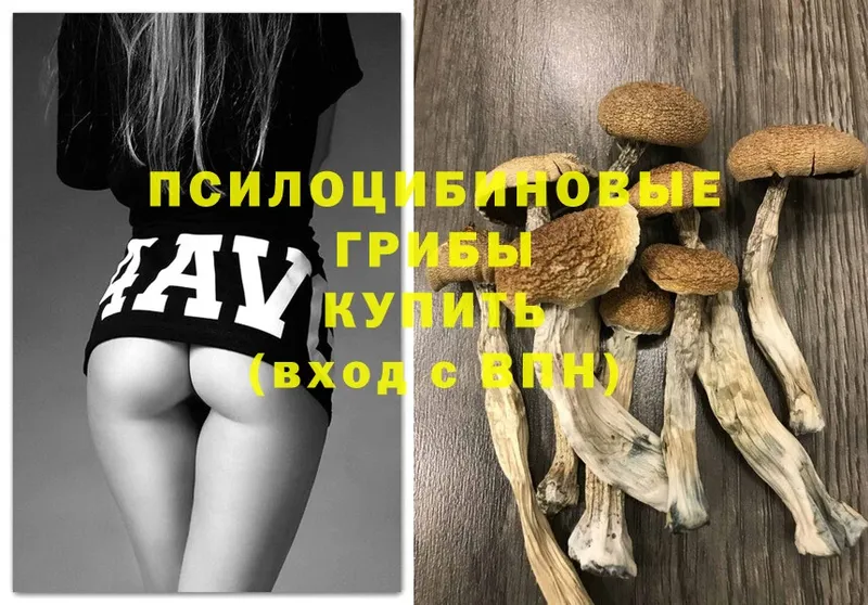 Псилоцибиновые грибы MAGIC MUSHROOMS  сколько стоит  omg как зайти  Ржев 